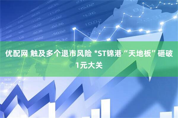 优配网 触及多个退市风险 *ST锦港“天地板”砸破1元大关