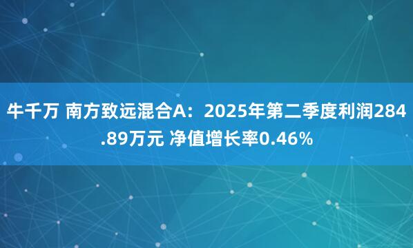 牛千万 南方致远混合A：2025年第二季度利润284.89万元 净值增长率0.46%