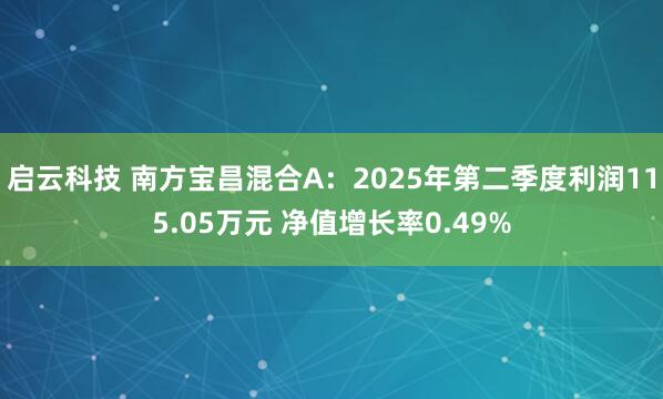 启云科技 南方宝昌混合A：2025年第二季度利润115.05万元 净值增长率0.49%
