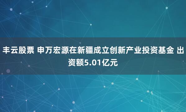 丰云股票 申万宏源在新疆成立创新产业投资基金 出资额5.01亿元