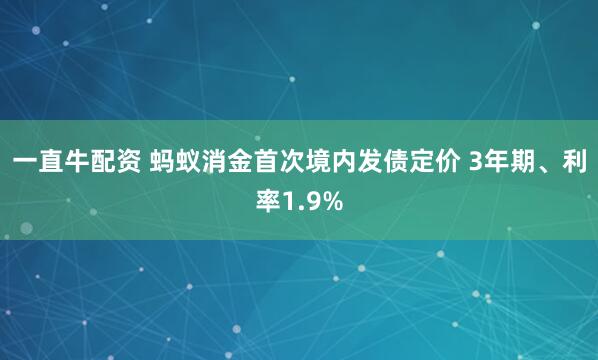 一直牛配资 蚂蚁消金首次境内发债定价 3年期、利率1.9%