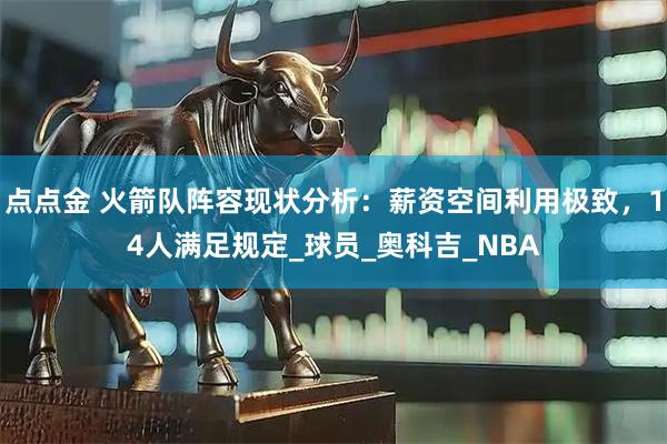 点点金 火箭队阵容现状分析：薪资空间利用极致，14人满足规定_球员_奥科吉_NBA